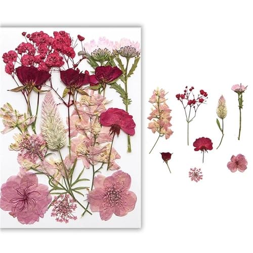 GAOJUDAF Gepresstes Blumenset for lustiges Heimwerken, Set mit geprägten Trockenblumen, luftgetrocknete ewige Trockenblume for mit Harz gefüllte(Deep pink) von GAOJUDAF