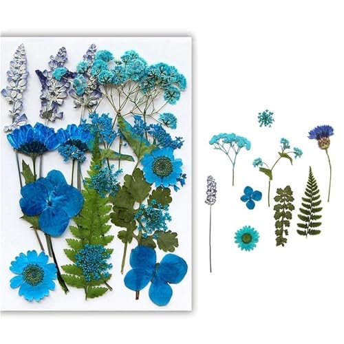 GAOJUDAF Gepresstes Blumenset for lustiges Heimwerken, Set mit geprägten Trockenblumen, luftgetrocknete ewige Trockenblume for mit Harz gefüllte(Lake Blue) von GAOJUDAF