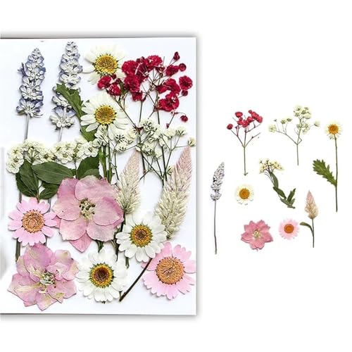 GAOJUDAF Gepresstes Blumenset for lustiges Heimwerken, Set mit geprägten Trockenblumen, luftgetrocknete ewige Trockenblume for mit Harz gefüllte(Pink) von GAOJUDAF