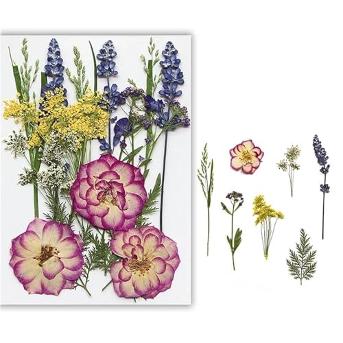 GAOJUDAF Gepresstes Blumenset for lustiges Heimwerken, Set mit geprägten Trockenblumen, luftgetrocknete ewige Trockenblume for mit Harz gefüllte(Purple) von GAOJUDAF