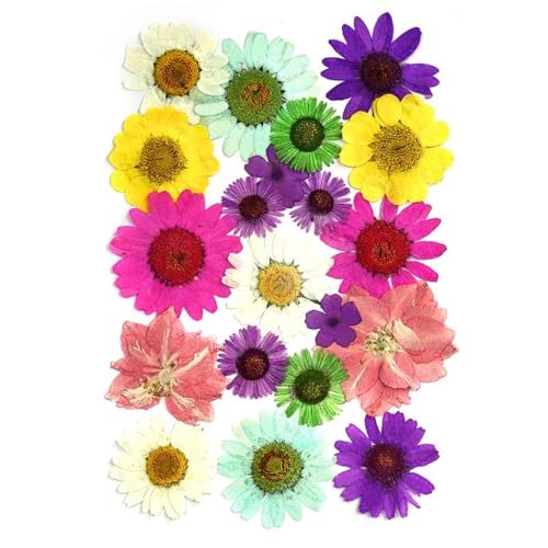 GAOJUDAF Getrocknete Blumen Set, Epoxidharzfüllung, DIY Nail Art gepresste Blume, gepresstes Wassergrasmaterial, Heimdekor(Light pink) von GAOJUDAF