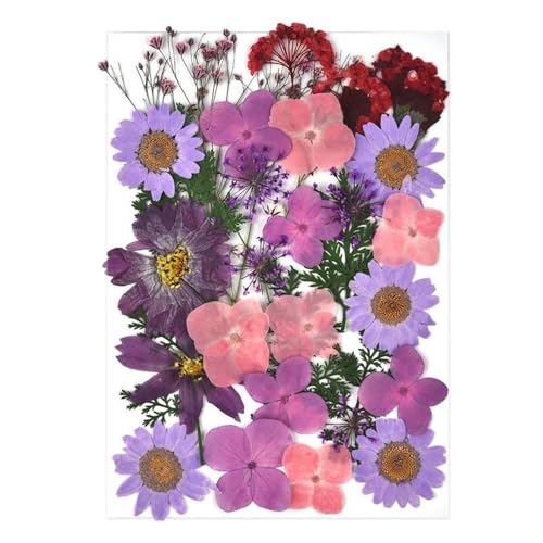 GAOJUDAF Getrocknete Blumen Set, Epoxidharzfüllung, DIY Nail Art gepresste Blume, gepresstes Wassergrasmaterial, Heimdekor(Purple) von GAOJUDAF