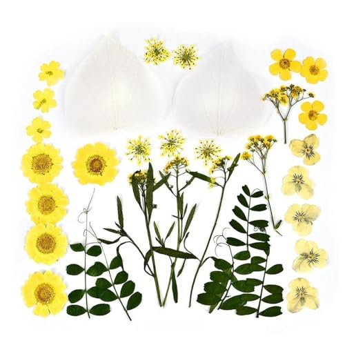 GAOJUDAF Getrocknete Blumen Set, Epoxidharzfüllung, DIY Nail Art gepresste Blume, gepresstes Wassergrasmaterial, Heimdekor(White) von GAOJUDAF