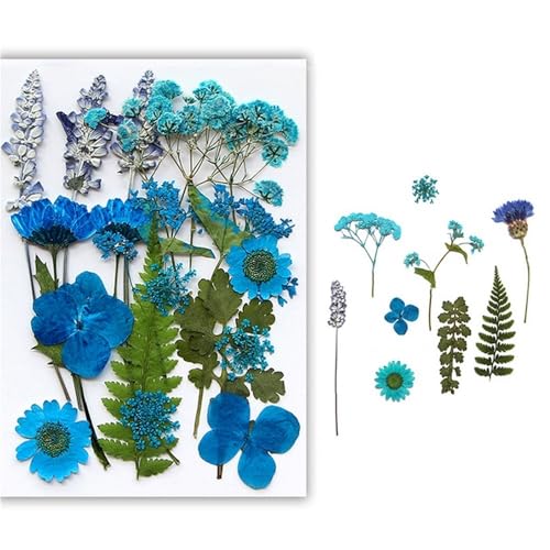 GAOJUDAF Getrocknetes gepresstes Blumenset for Kunsthandwerk, DIY handgemachte Kerze, echte trockene Blütenblätter, echtes Blumenpflanzenexemplar(Lake Blue) von GAOJUDAF