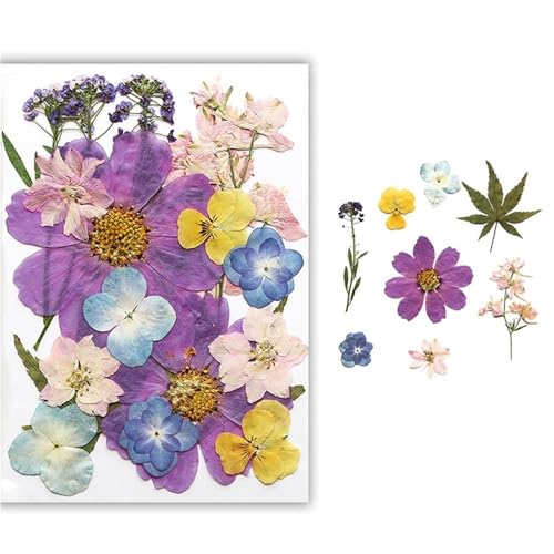GAOJUDAF Getrocknetes gepresstes Blumenset for Kunsthandwerk, DIY handgemachte Kerze, echte trockene Blütenblätter, echtes Blumenpflanzenexemplar(Light Purple) von GAOJUDAF