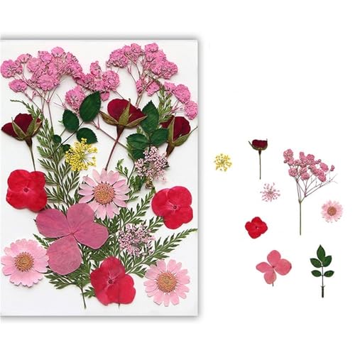 GAOJUDAF Getrocknetes gepresstes Blumenset for Kunsthandwerk, DIY handgemachte Kerze, echte trockene Blütenblätter, echtes Blumenpflanzenexemplar(Peach pink) von GAOJUDAF
