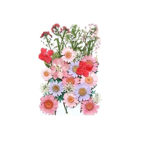 GAOJUDAF Kleines Deko-Set mit getrockneten Blumen, echte getrocknete Blumen for selbstgemachte Lesezeichen, gepresste Blumen for die Kerzenherstellung(Light pink) von GAOJUDAF