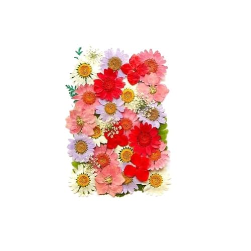GAOJUDAF Kleines Deko-Set mit getrockneten Blumen, echte getrocknete Blumen for selbstgemachte Lesezeichen, gepresste Blumen for die Kerzenherstellung(Pink) von GAOJUDAF