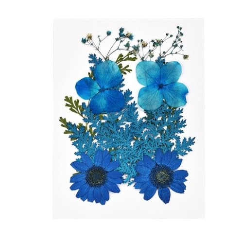 GAOJUDAF Trockengepresste Blumen for die Kunstherstellung, getrocknete Blumen for Basteln, getrocknete Blumenblätter, DIY-Set, 1 Stück(Blue) von GAOJUDAF