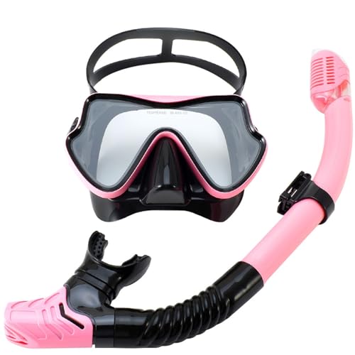 Tauchmaske mit Dry Top System für Erwachsene, 180-Grad-Panorama-Schnorchelmaske, Schnorchel-Tauch-Schwimmbrillenmaske mit Kamerahalterung B von GAOJYLF