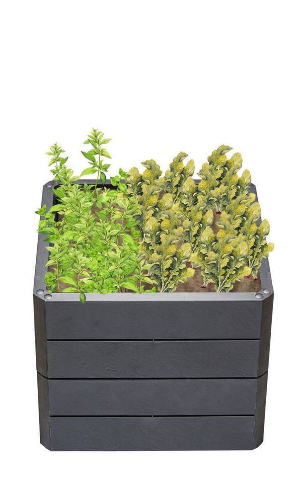 GARANTIA Hochbeet ERGO QUADRO S 50 Hochbeet GARANTIA Hochbeet ERGO QUADRO S 50 Hochbeet von GARANTIA