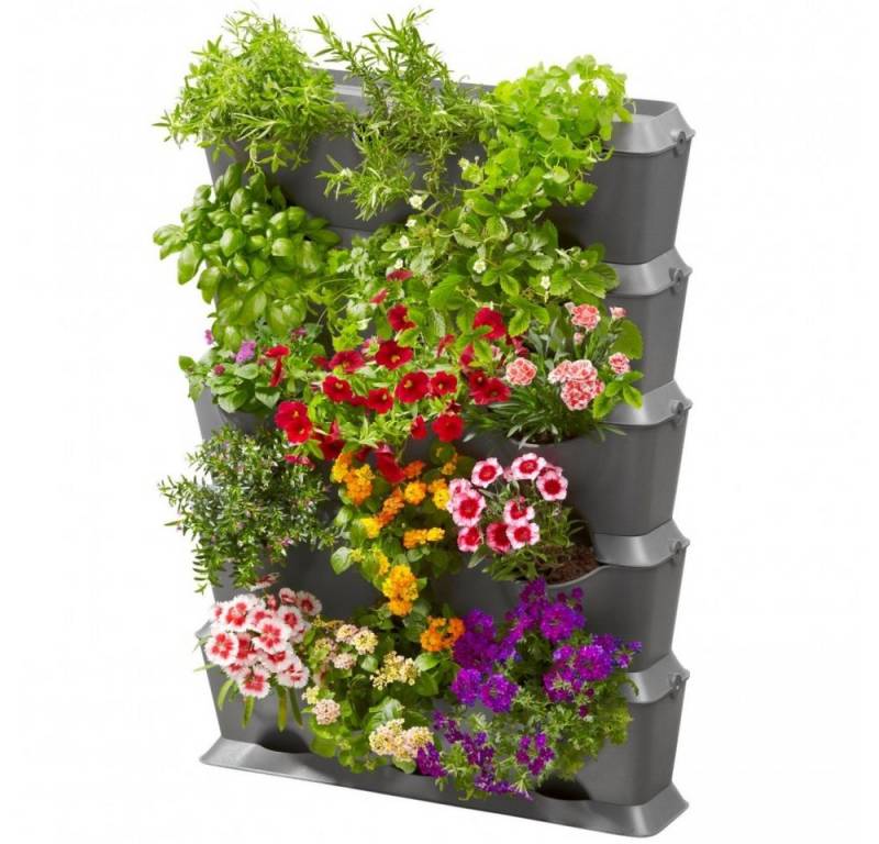 GARDENA Bewässerungssystem NatureUp! Set Vertikal - Pflanzbehälter - grau GARDENA Bewässerungssystem NatureUp! Set Vertikal - Pflanzbehälter - grau von GARDENA