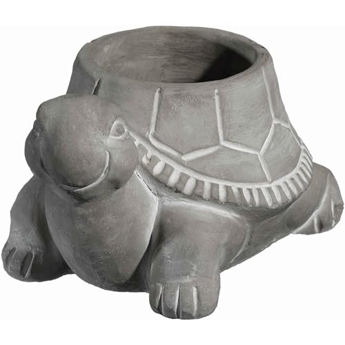 Classic Home and Garden Zement Buddies Tier-Pflanzgefäß, niedliche Schreibtischdekoration, UV-beschichtete Tiervase mit Ablaufstopfen, Sukkulenten-Blumentopf für den Innen- und Außenbereich von Classic Home & Garden