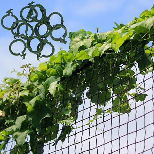 GARDENIX® 2x10 m Ranknetz Rankhilfe Tomaten, Gurken und Kletterpflanzen und 100 Stück Pflanzenclips (2x10 m, Schwarz) von GARDENIX