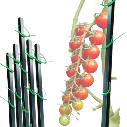 GARDENIX 10 Stück Pflanzstäbe aus Kunststoff 110cm mit Bindeschlauch für Gurken, Paprika, Tomaten oder Blumen und Pflanzen von GARDENIX