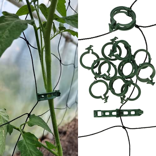 GARDENIX 100 Stück Pflanzen Clips Pflanzenklammern für Gemüse Tomate Pflanze Unterstützung Gurken, Erbsen, Auberginen, Bohnen und Blumen wie Orchideen von GARDENIX