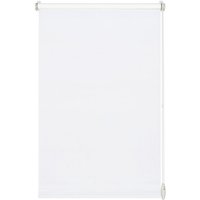Gardinia - Easyfix Rollo Uni reinweiß 60 x 150 cm Rollos & Zubehör Gardinia - Easyfix Rollo Uni reinweiß 60 x 150 cm Rollos & Zubehör von GARDINIA