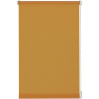 GARDINIA Jalousie, BxL: 120 x 175 cm, Aluminium - braun GARDINIA Jalousie, BxL: 120 x 175 cm, Aluminium - braun von GARDINIA