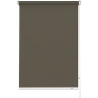 GARDINIA Jalousie, BxL: 140 x 175 cm, Aluminium - beige GARDINIA Jalousie, BxL: 140 x 175 cm, Aluminium - beige von GARDINIA
