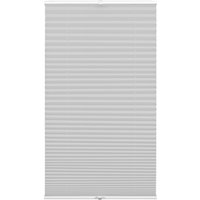 GARDINIA Plissee "Concept Tageslicht" blickdicht mit Bohren verspannt in der Breite kürzbar GARDINIA Plissee "Concept Tageslicht" blickdicht mit Bohren verspannt in der Breite kürzbar von GARDINIA
