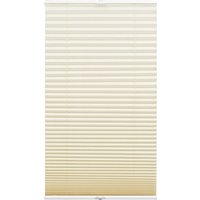 GARDINIA Plissee "Concept Tageslicht" blickdicht mit Bohren verspannt in der Breite kürzbar GARDINIA Plissee "Concept Tageslicht" blickdicht mit Bohren verspannt in der Breite kürzbar von GARDINIA