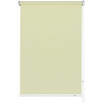 GARDINIA Rollo »PG 1«, champagner, Polyester - beige GARDINIA Rollo »PG 1«, champagner, Polyester - beige von GARDINIA