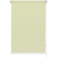 GARDINIA Rollo »PG 1«, champagner, Polyester - beige von GARDINIA