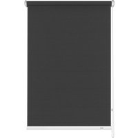 GARDINIA Seitenzug-Rollo, grau, Uni, Polyester GARDINIA Seitenzug-Rollo, grau, Uni, Polyester von GARDINIA