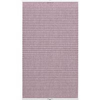 GARDINIA Seitenzug-Rollo, weiß, Thermo, Polyester - weiss GARDINIA Seitenzug-Rollo, weiß, Thermo, Polyester - weiss von GARDINIA