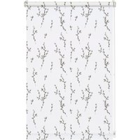 GARDINIA Seitenzugrollo "Easyfix Rollo Digiprint" blickdicht Sichtschutz ohne Bohren freihängend mit Weidenkätzchen Motiv GARDINIA Seitenzugrollo "Easyfix Rollo Digiprint" blickdicht Sichtschutz ohne Bohren freihängend mit Weidenkätzchen Motiv von GARDINIA