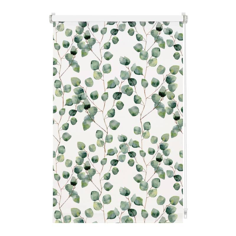 Gardinia EasyFix Rollo Isabella 110 cm x 150 cm Weiß von GARDINIA