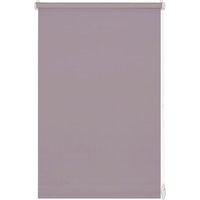 Gardinia - EasyFix Rollo perlrosa 120 x 150 cm von GARDINIA