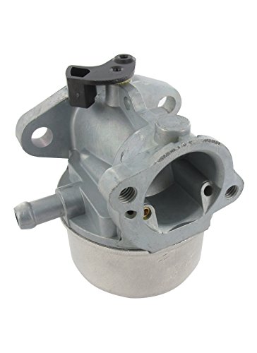 Greenstar 6616 Adjustable Carb Carburetor for Briggs Stratton/& von GARDY PARTS