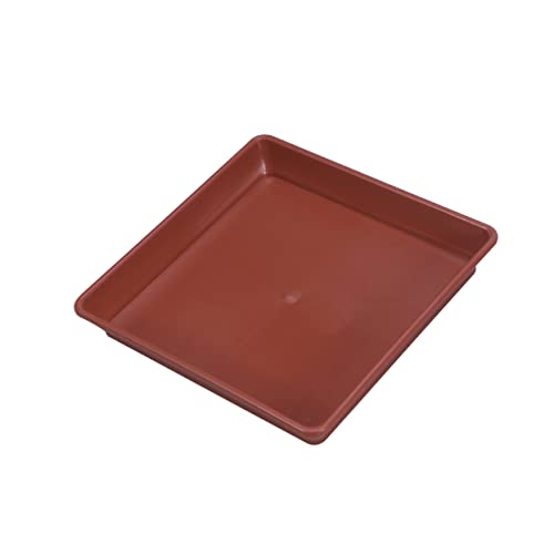 GARIOUANS 10 Stück Teiliges Quadratischer Pflanzentopf Untersetzer Kunststoff Innendurchmesser Robuste Schalen für Sukkulenten und Pflanzenpflege GARIOUANS 10 Stück Teiliges Quadratischer Pflanzentopf Untersetzer Kunststoff Innendurchmesser Robuste Schalen für Sukkulenten und Pflanzenpflege von GARIOUANS