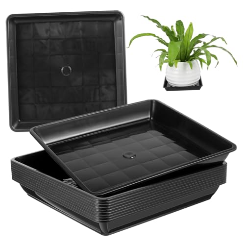 GARIOUANS 10 Stück Teiliges Quadratischer Pflanztopf Untersetzer Robustem Kunststoff für Garten und Innenbereich Schwarz Hitzebeständig und Langlebig GARIOUANS 10 Stück Teiliges Quadratischer Pflanztopf Untersetzer Robustem Kunststoff für Garten und Innenbereich Schwarz Hitzebeständig und Langlebig von GARIOUANS