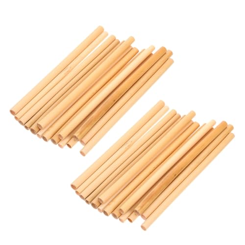 GARIOUANS 100 Stück Natürliche Schilfrohr Nisthülsen Bienenhotel Röhrchen Ersatz für Wildbienen Nisthilfen im Garten, im Freiland und Landwirtschaft Vielseitig Kompatibel und GARIOUANS 100 Stück Natürliche Schilfrohr Nisthülsen Bienenhotel Röhrchen Ersatz für Wildbienen Nisthilfen im Garten, im Freiland und Landwirtschaft Vielseitig Kompatibel und von GARIOUANS