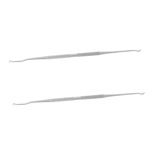 GARIOUANS 2 Stück Doppelnadel Imker Werkzeug Edelstahl Transfernadel Bienenzucht Zubehör Teilig Praktische Langlebige Vielseitige für Imker und Bienenpflege von GARIOUANS
