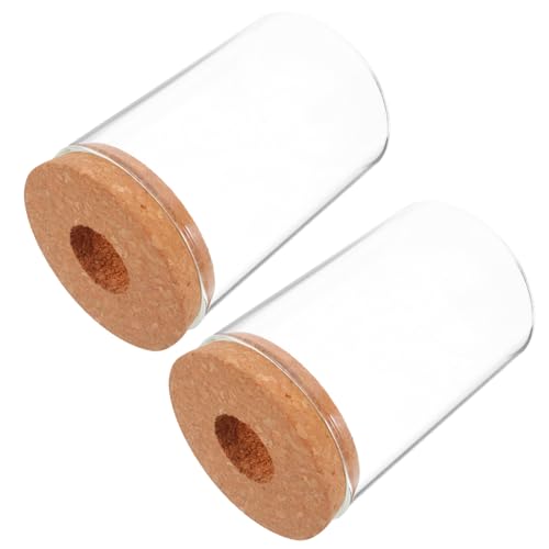 GARIOUANS 2 Stück Hydroponik Glasvase für Mikrolandschaft Transparentes Terrarium mit Luftzirkulation Platzsparend für Büro und Zuhause als Dekorative Pflanzendeko von GARIOUANS