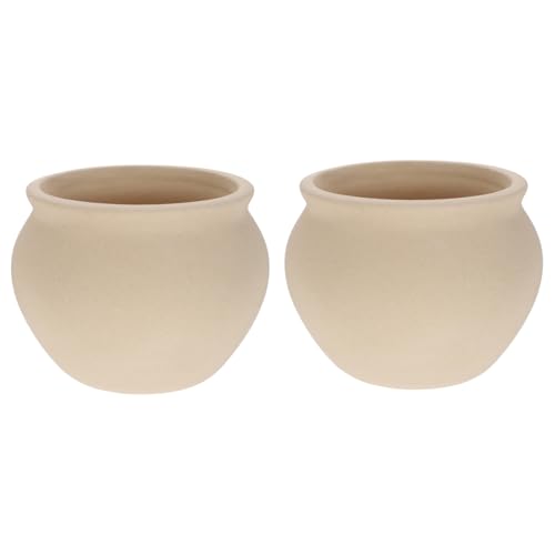 GARIOUANS 2 Stück Keramik Blumentopf Sukkulenten Pflanzschale Blumenübertopf für Garten Balkon Wohnzimmer Frostbeständig Farbbeständig für Zimmerpflanzen und Bonsai Dekoration GARIOUANS 2 Stück Keramik Blumentopf Sukkulenten Pflanzschale Blumenübertopf für Garten Balkon Wohnzimmer Frostbeständig Farbbeständig für Zimmerpflanzen und Bonsai Dekoration von GARIOUANS
