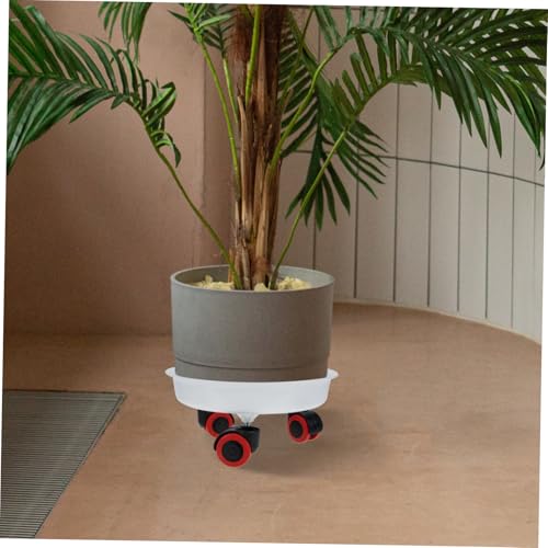 GARIOUANS 2 Stück Teiliges Pflanzenroller Transparentem Dickem Rad blumentopfuntersetzer Bewegliche Blumentopfhalter für Balkon Innen Außenbereich Pflegeleichter Pflanzkübelständer GARIOUANS 2 Stück Teiliges Pflanzenroller Transparentem Dickem Rad blumentopfuntersetzer Bewegliche Blumentopfhalter für Balkon Innen Außenbereich Pflegeleichter Pflanzkübelständer von GARIOUANS