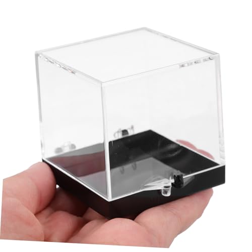 GARIOUANS 3 Stück Transparente Mineral Display Box Kunststoff Aufbewahrungsbox Schutz und Dekoration für Schmuck Proben Kleine Sammlungen Langlebig Kompakt Multifunktional von GARIOUANS
