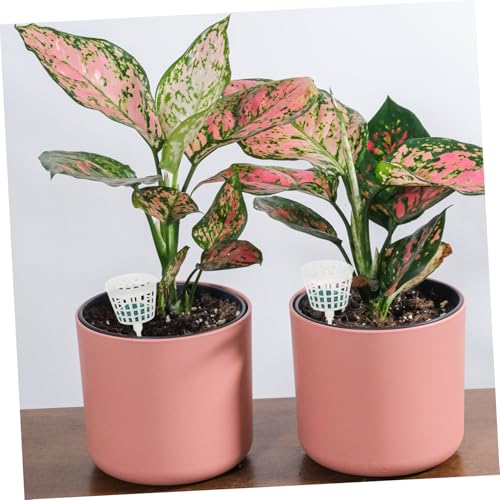 GARIOUANS 30 Stück Teiliges Bonsai Düngerbox aus mit Transparentem Deckel Langsam Wirkende Düngerkörbe Langlebige und Wiederverwendbare Fertilisationsbehälter für Zimmerpflanzen und Bonsai GARIOUANS 30 Stück Teiliges Bonsai Düngerbox aus mit Transparentem Deckel Langsam Wirkende Düngerkörbe Langlebige und Wiederverwendbare Fertilisationsbehälter für Zimmerpflanzen und Bonsai von GARIOUANS