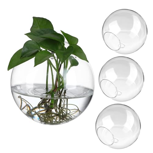 GARIOUANS 4 Stück Hängende Glasvase Runde Wandvermehrungsstation für Pflanzen Dekorativer Terrarium Halter Transparent Für Wohnzimmer Büro Restaurant von GARIOUANS