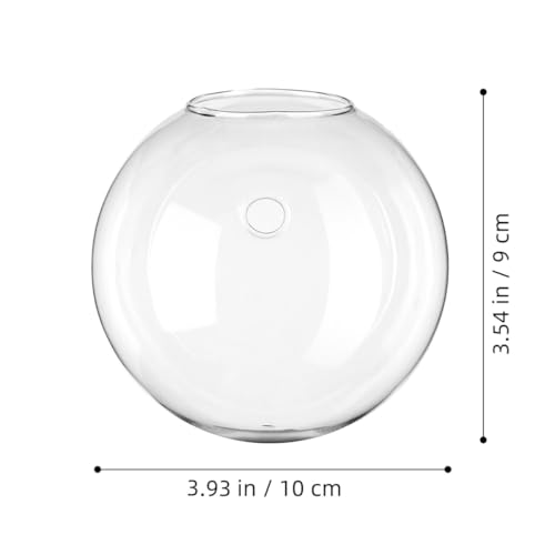 GARIOUANS 4 Stück Teiliges Halbkreisförmiges Wand-blumenvase- Transparente Glas-hydroponikpflanzgefäße Wandhängende Propagationsstation für Zimmerpflanzen Platzsparend Einfache Befestigung GARIOUANS 4 Stück Teiliges Halbkreisförmiges Wand-blumenvase- Transparente Glas-hydroponikpflanzgefäße Wandhängende Propagationsstation für Zimmerpflanzen Platzsparend Einfache Befestigung von GARIOUANS