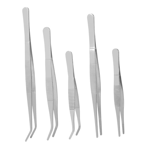 GARIOUANS 5 Stück Teiliges Edelstahl Pinzetten für Gartenarbeit Präzise Gartengeräte für Sukkulenten und DIY Pflanzenpflege Langlebig Vielseitig für Garten Büro und Zuhause Handlich von GARIOUANS
