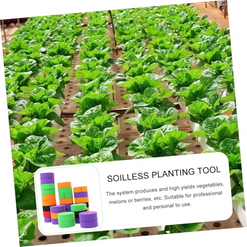 GARIOUANS 50 Stück Pflanzen Kloneinsatz Pflanzpads für Hydroponischen Anbau Soilless Planting Tool Runde Eva Matten mit Wasserhaltefunktion Geeignet für Gemüse und GARIOUANS 50 Stück Pflanzen Kloneinsatz Pflanzpads für Hydroponischen Anbau Soilless Planting Tool Runde Eva Matten mit Wasserhaltefunktion Geeignet für Gemüse und von GARIOUANS