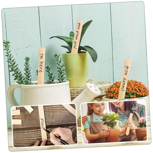 GARIOUANS 50 Stück Pflanzenschilder Pflanzenstecker für Garten Blumen Gemüse Wetterfest Langlebig zum Beschriften für Beet Topf und Hochbeet von GARIOUANS