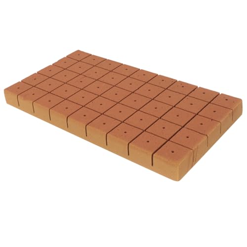 GARIOUANS 50 Stück Soilless Cultivation Nährstoff blöcke Anzuchtbasis für Stecklinge Luftdurchlässig Wasserabsorbierend Professionelles Substrat für Balkon Gartenpflanzen von GARIOUANS