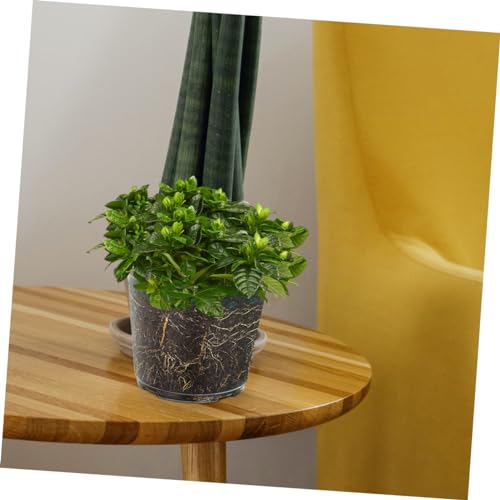 GARIOUANS 6 Stück Teiliges Transparentes Orchideentopf mit Belüftungslöchern Atmungsaktive Pflanzgefäße Robustem Kunststoff für Orchideen und Dekorative Pflanzen im Innen und Außenbereich GARIOUANS 6 Stück Teiliges Transparentes Orchideentopf mit Belüftungslöchern Atmungsaktive Pflanzgefäße Robustem Kunststoff für Orchideen und Dekorative Pflanzen im Innen und Außenbereich von GARIOUANS