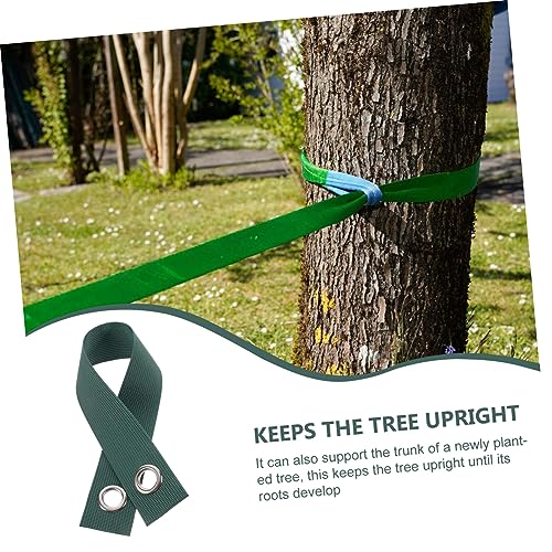 GARIOUANS 8 Stück Teiliges Baumstützband aus Strapazierfähigem Nylon mit Rostfreien Ösen Wetterfestes Pflanzband zur Stabilisierung und Reparatur von Schiefen Bäumen bei Wind und Grün GARIOUANS 8 Stück Teiliges Baumstützband aus Strapazierfähigem Nylon mit Rostfreien Ösen Wetterfestes Pflanzband zur Stabilisierung und Reparatur von Schiefen Bäumen bei Wind und Grün von GARIOUANS